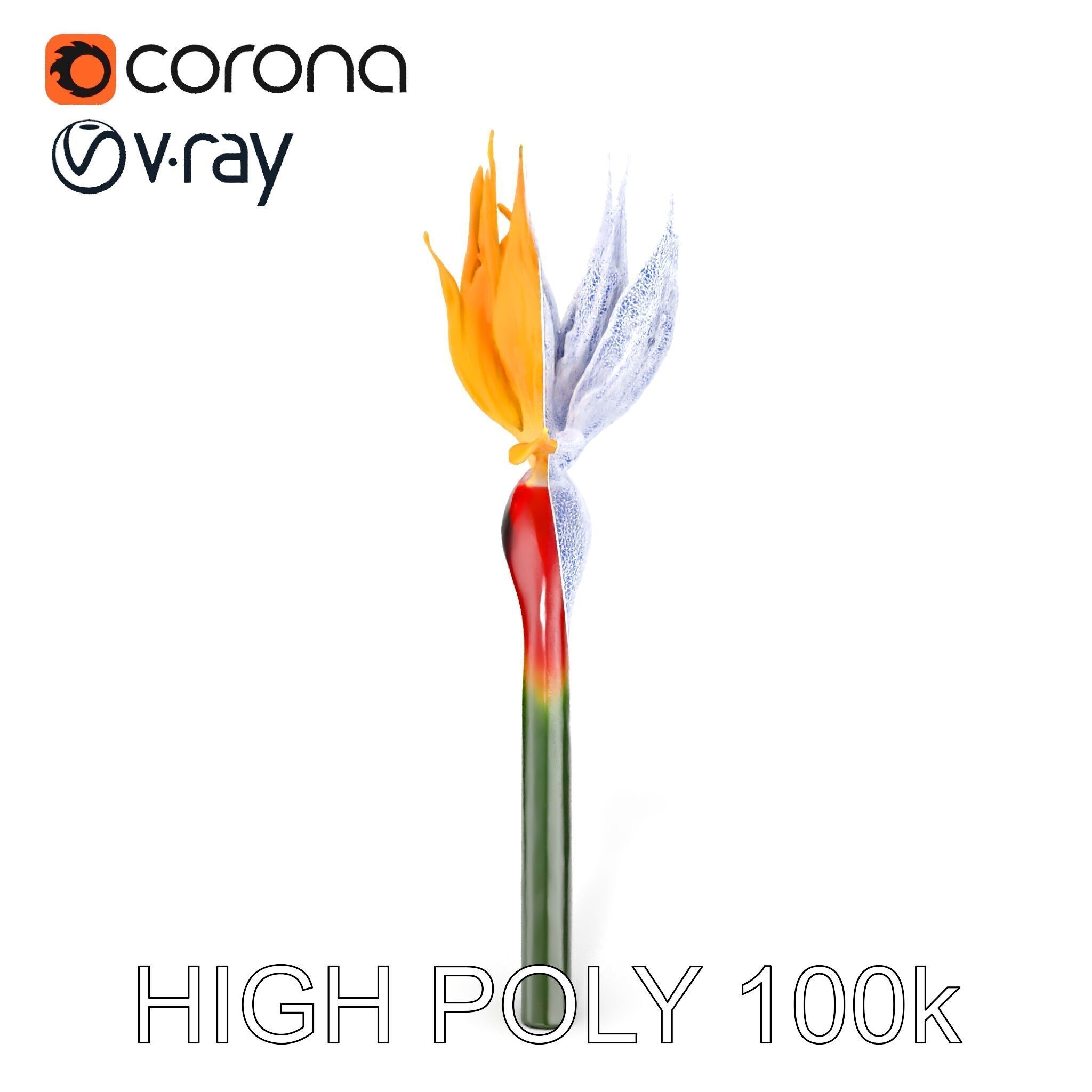 Exotic Bird of Paradise Flower Model Pack Low-poly 3D model_10