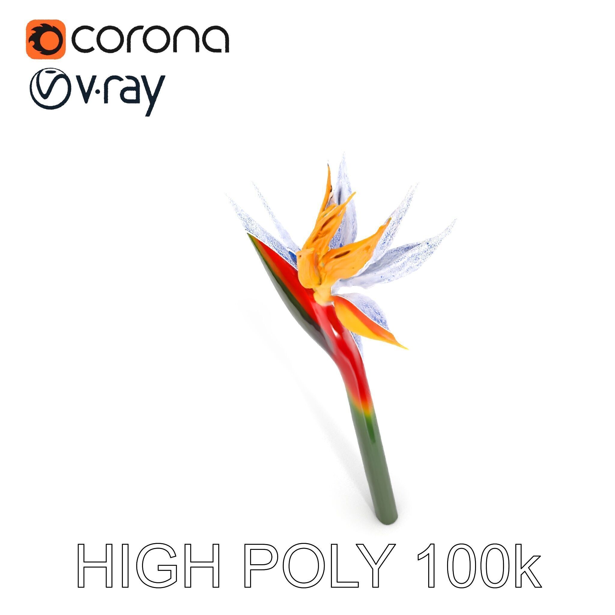 Exotic Bird of Paradise Flower Model Pack Low-poly 3D model_34