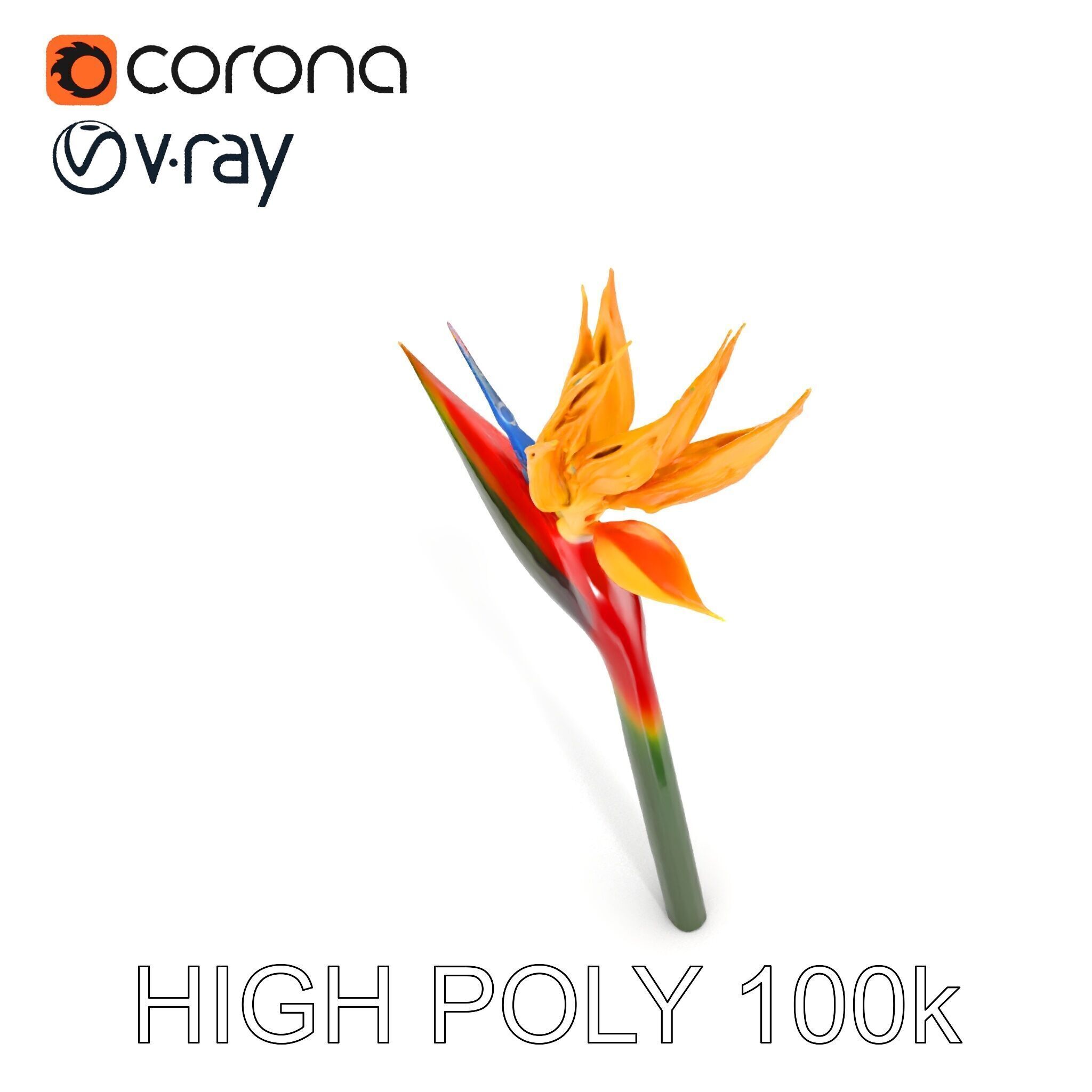 Exotic Bird of Paradise Flower Model Pack Low-poly 3D model_19