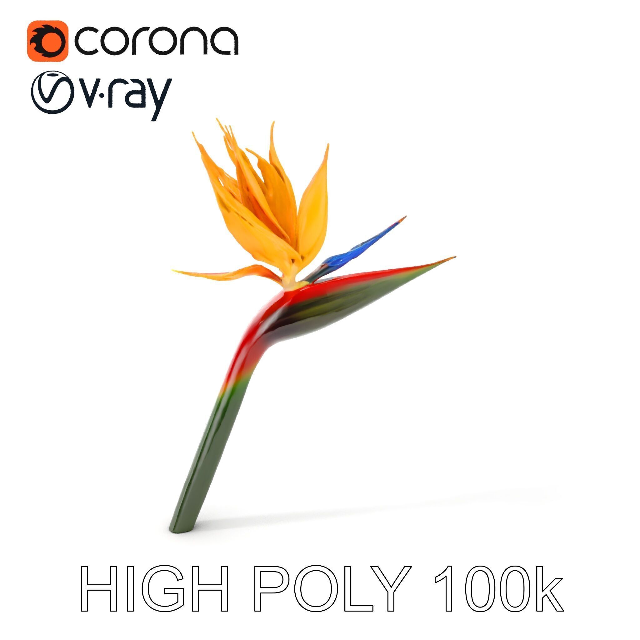 Exotic Bird of Paradise Flower Model Pack Low-poly 3D model_16