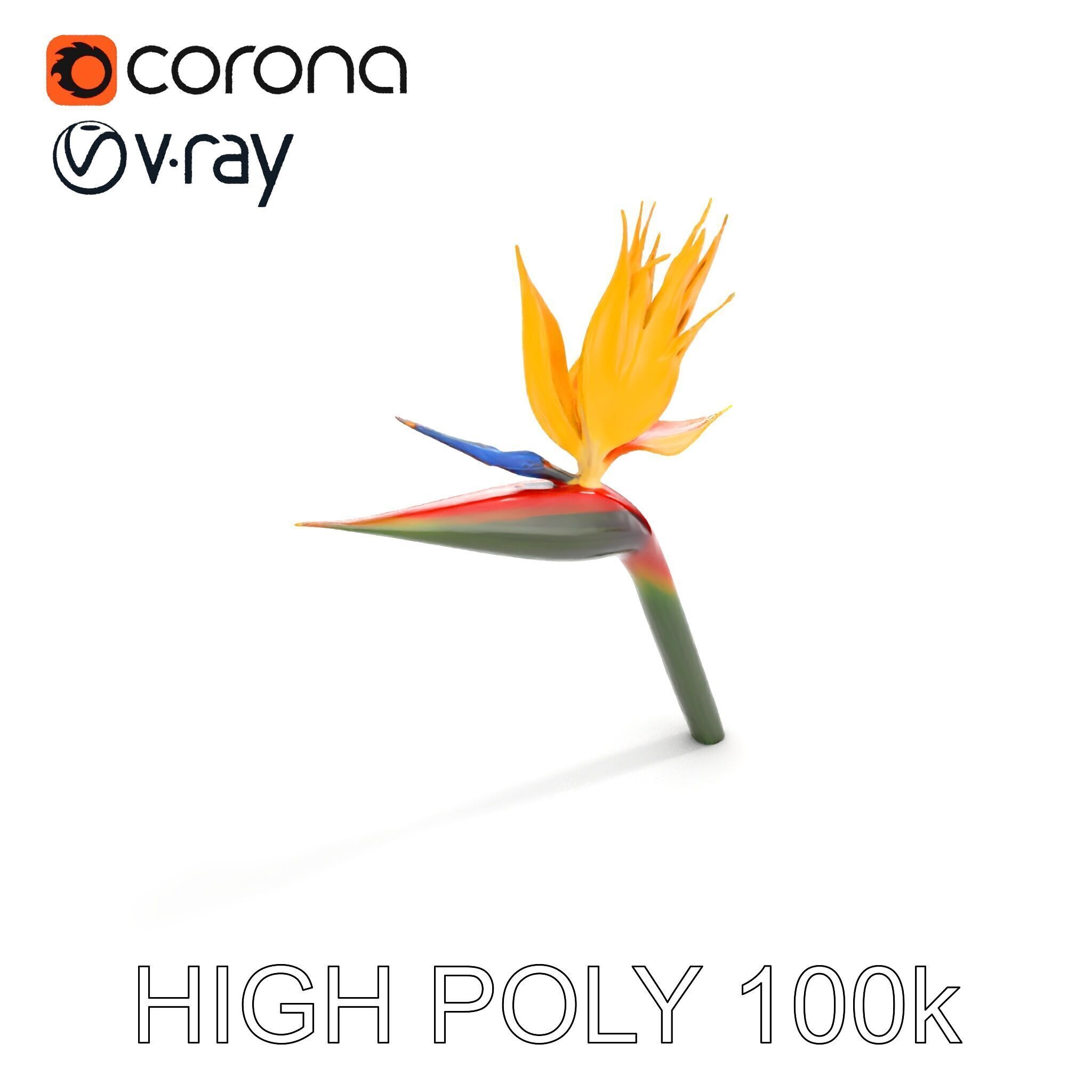 Exotic Bird of Paradise Flower Model Pack Low-poly 3D model_32