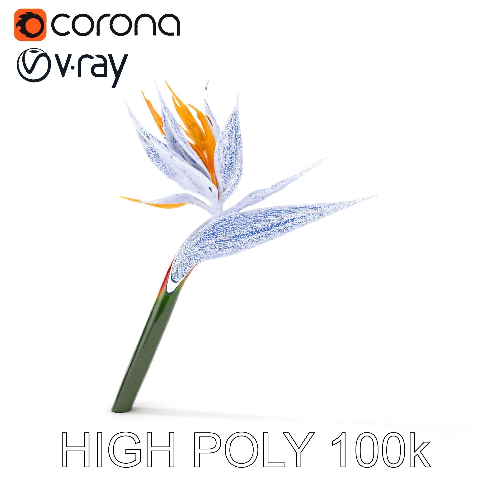 Exotic Bird of Paradise Flower Model Pack Low-poly 3D model_15
