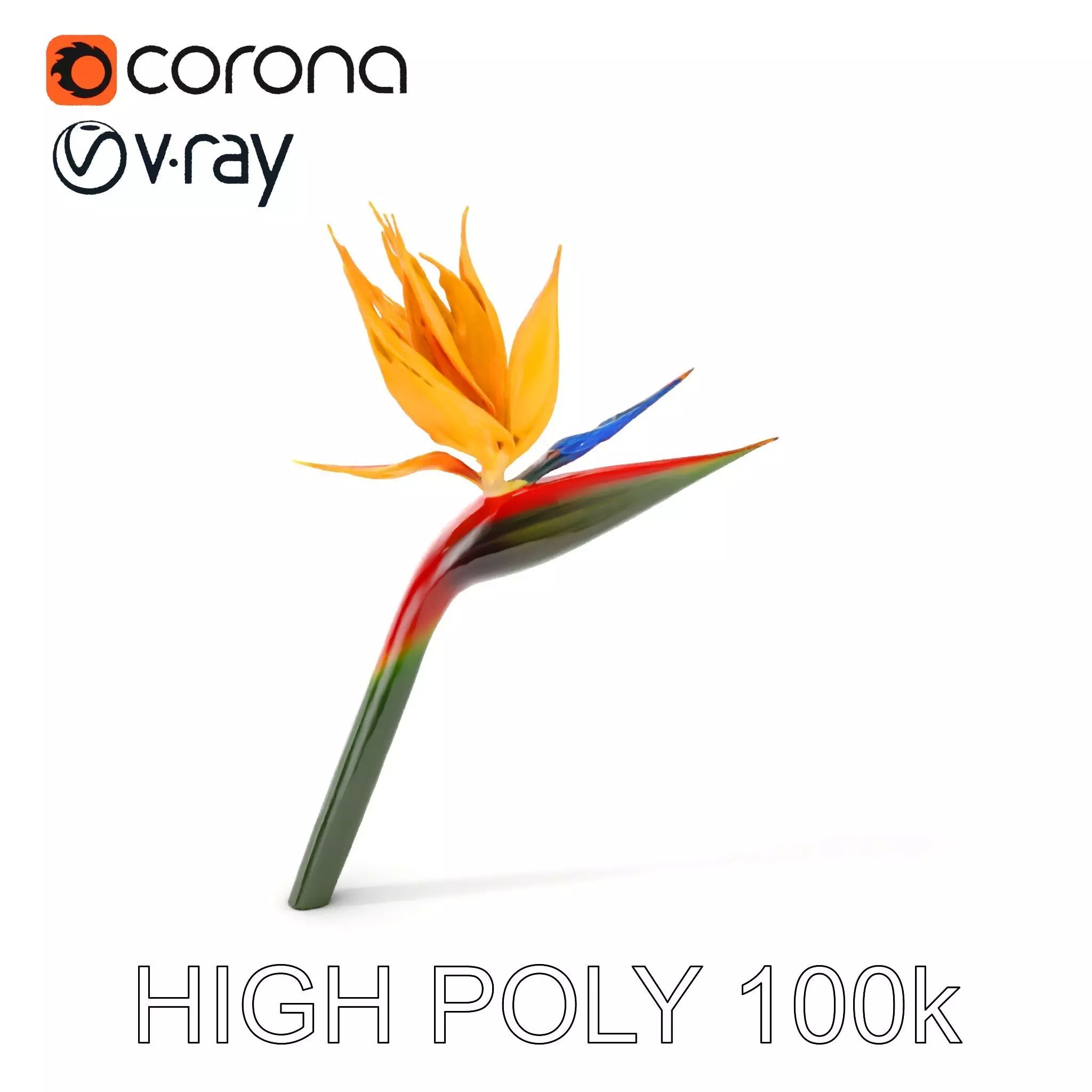 Exotic Bird of Paradise Flower Model Pack Low-poly 3D model_0