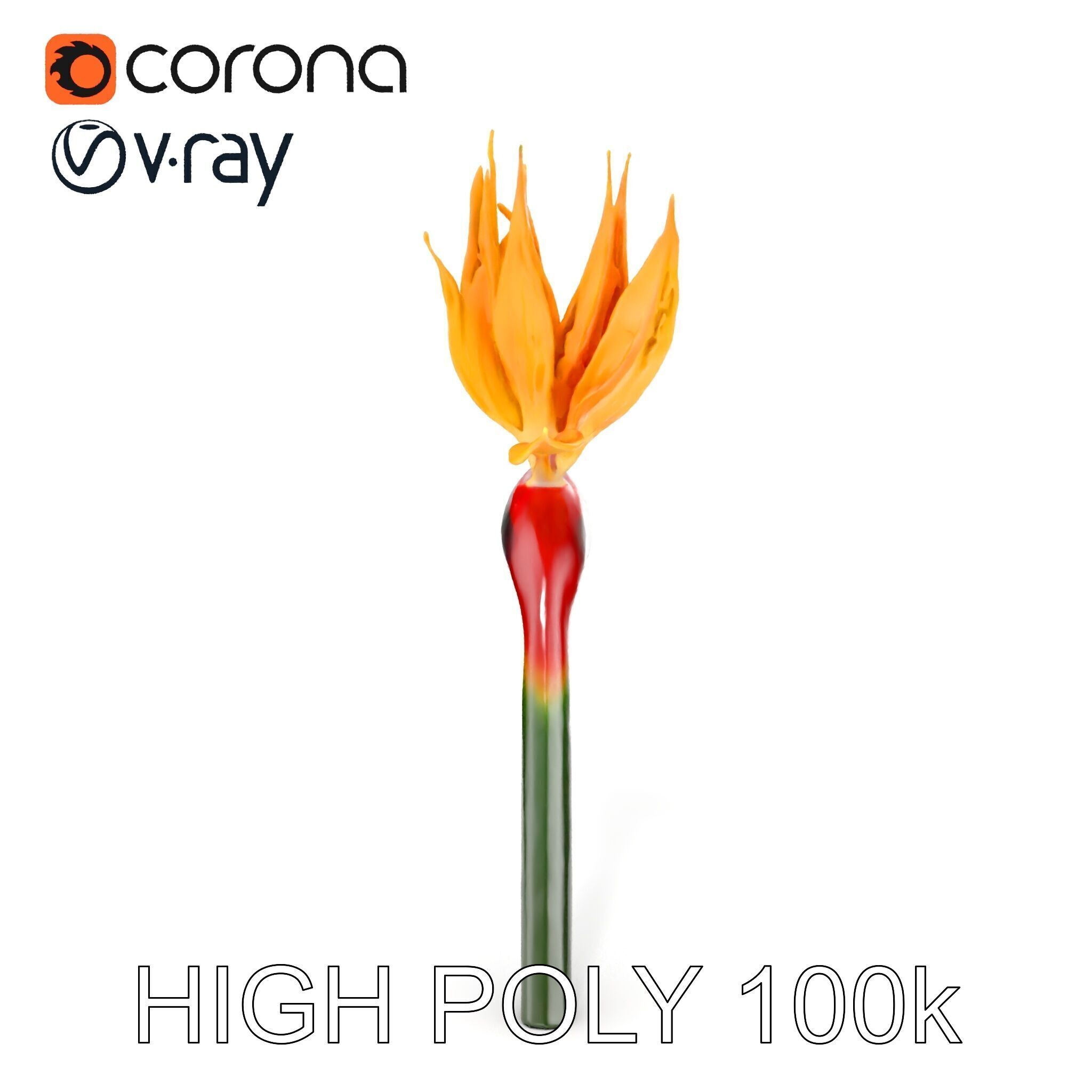 Exotic Bird of Paradise Flower Model Pack Low-poly 3D model_28