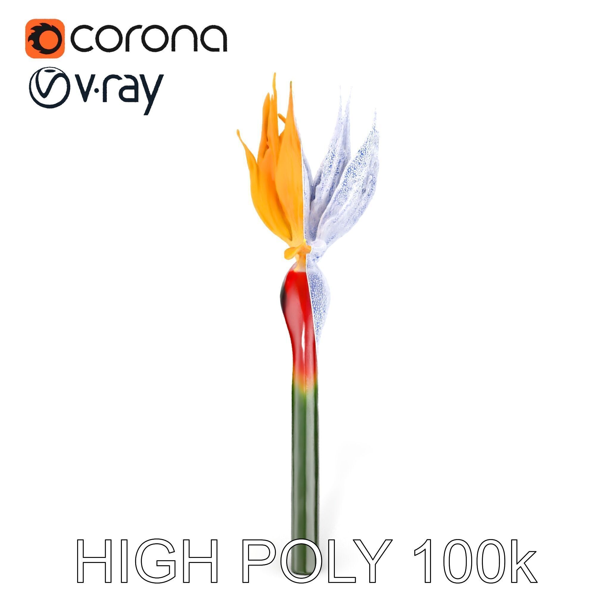 Exotic Bird of Paradise Flower Model Pack Low-poly 3D model_18