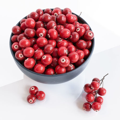 Cranberries in bowl 3D model 2