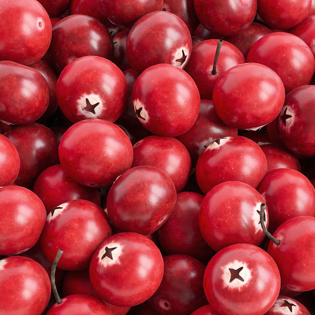 Cranberries in bowl 3D model_3