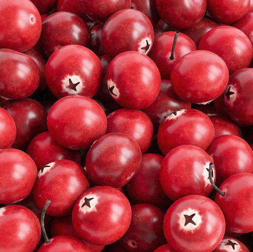 Cranberries in bowl 3D model 4
