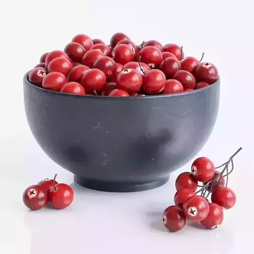 Cranberries in bowl 3D model