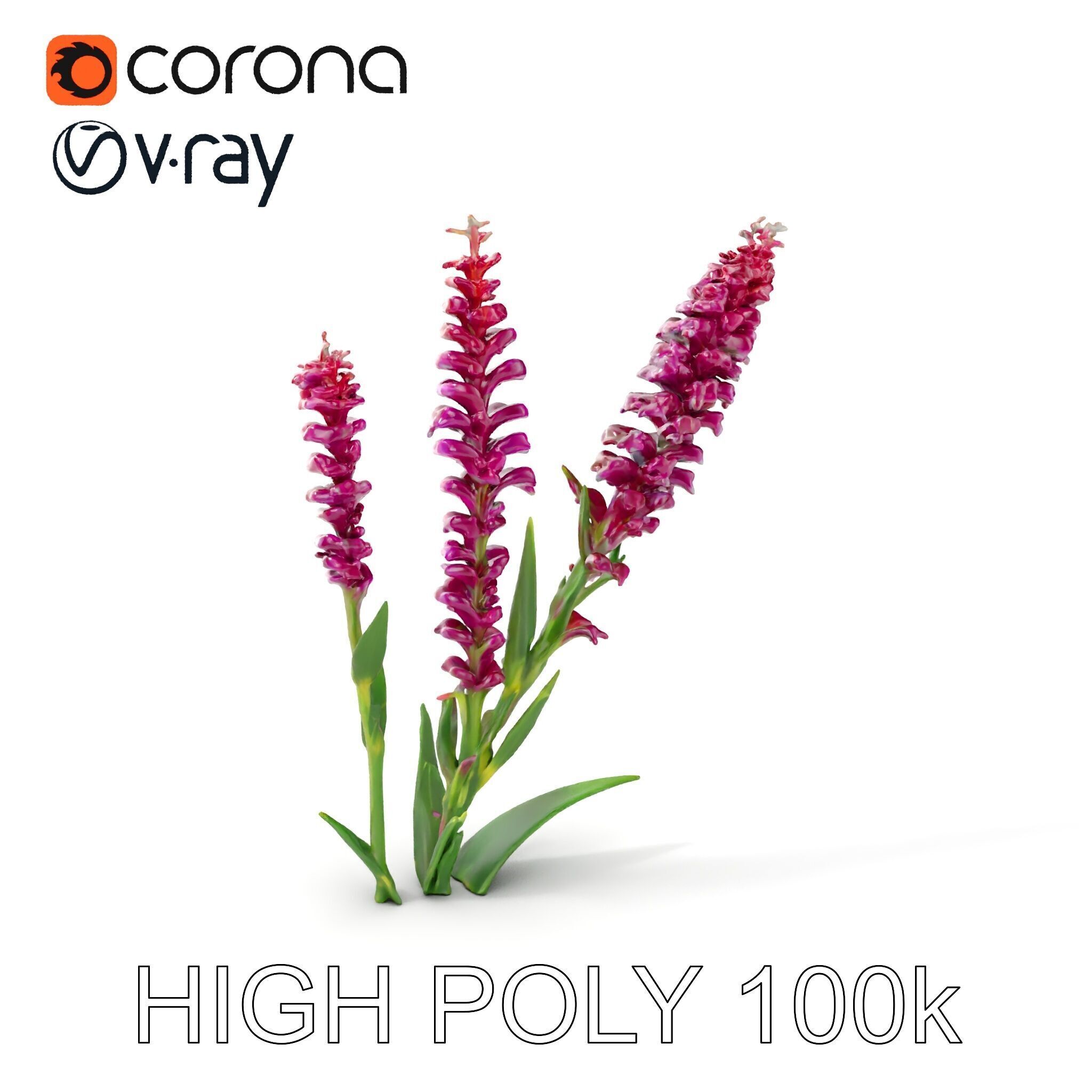 Purple Flower Model Pack  High Detail Botanical Collection Low-poly 3D model_9