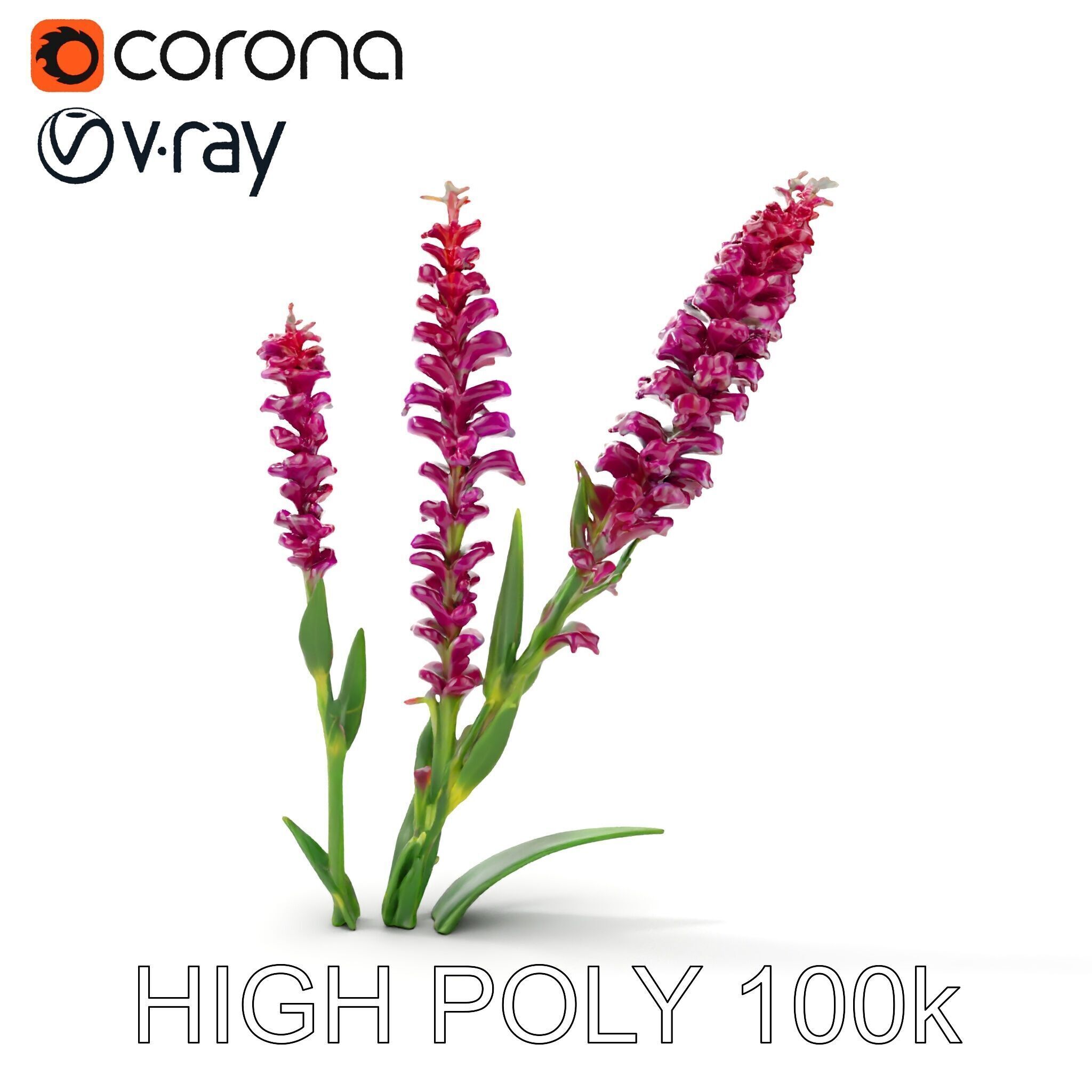 Purple Flower Model Pack  High Detail Botanical Collection Low-poly 3D model_14