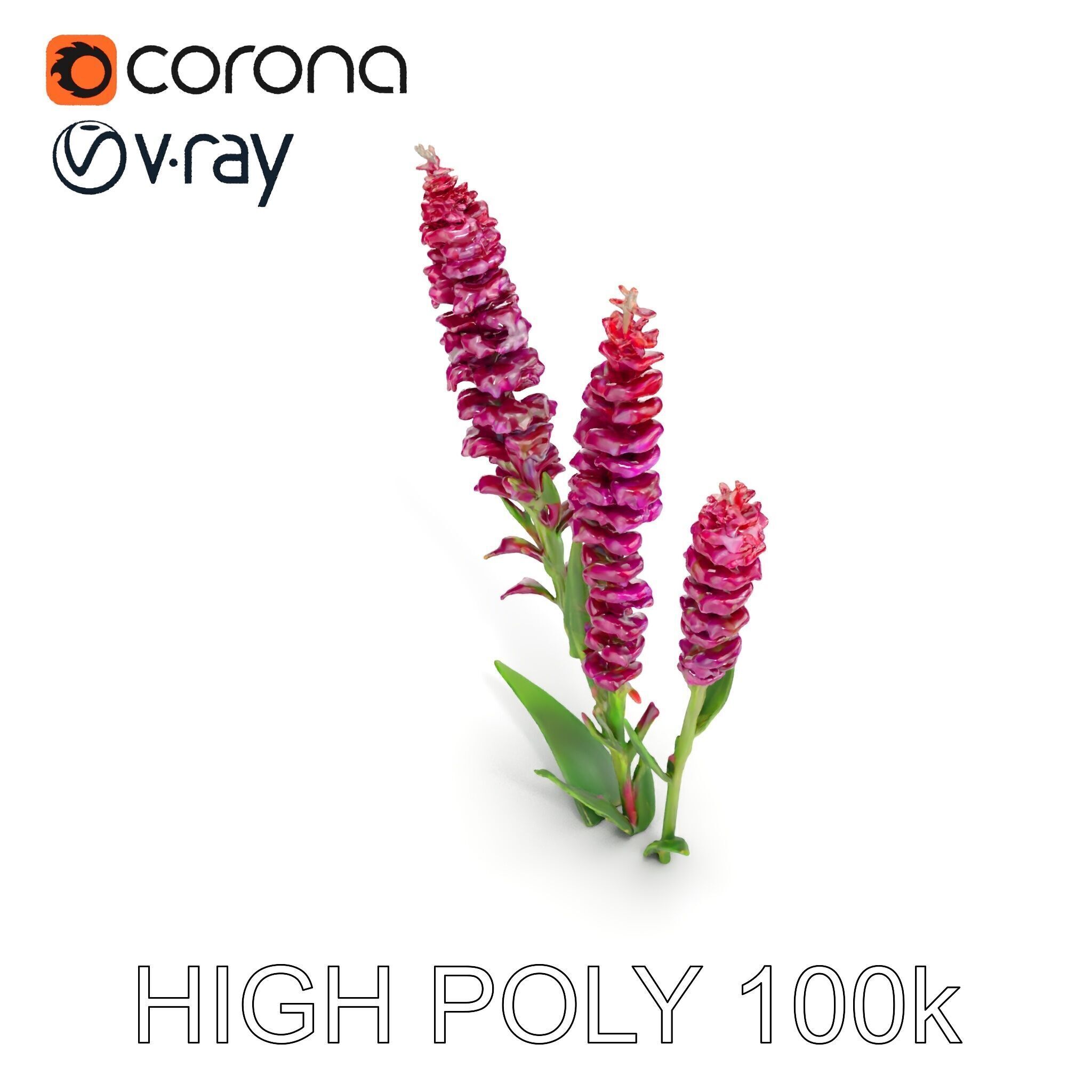 Purple Flower Model Pack  High Detail Botanical Collection Low-poly 3D model_15