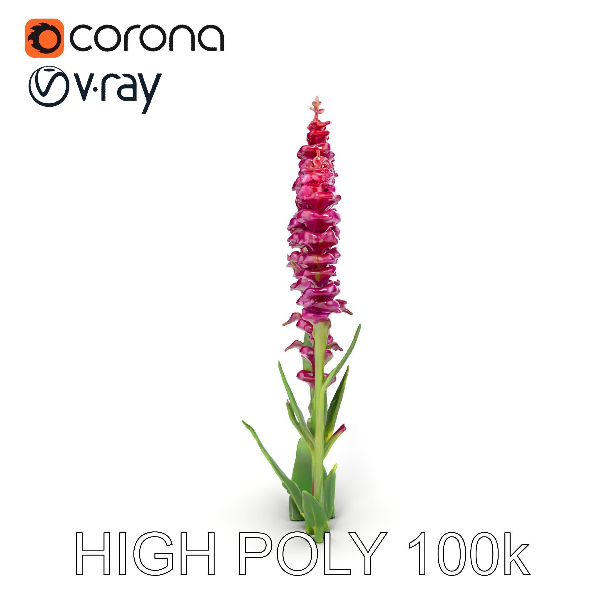 Purple Flower Model Pack  High Detail Botanical Collection Low-poly 3D model_21