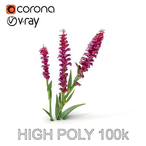 Purple Flower Model Pack  High Detail Botanical Collection Low-poly 3D model