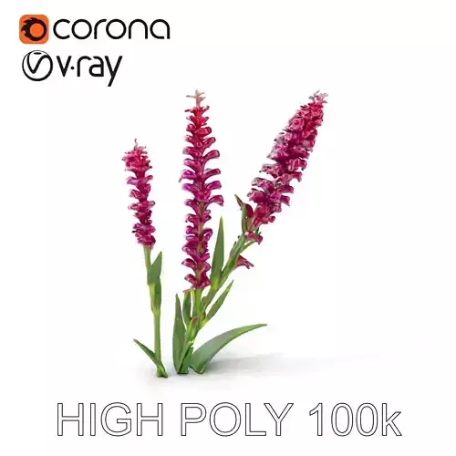 Purple Flower Model Pack  High Detail Botanical Collection