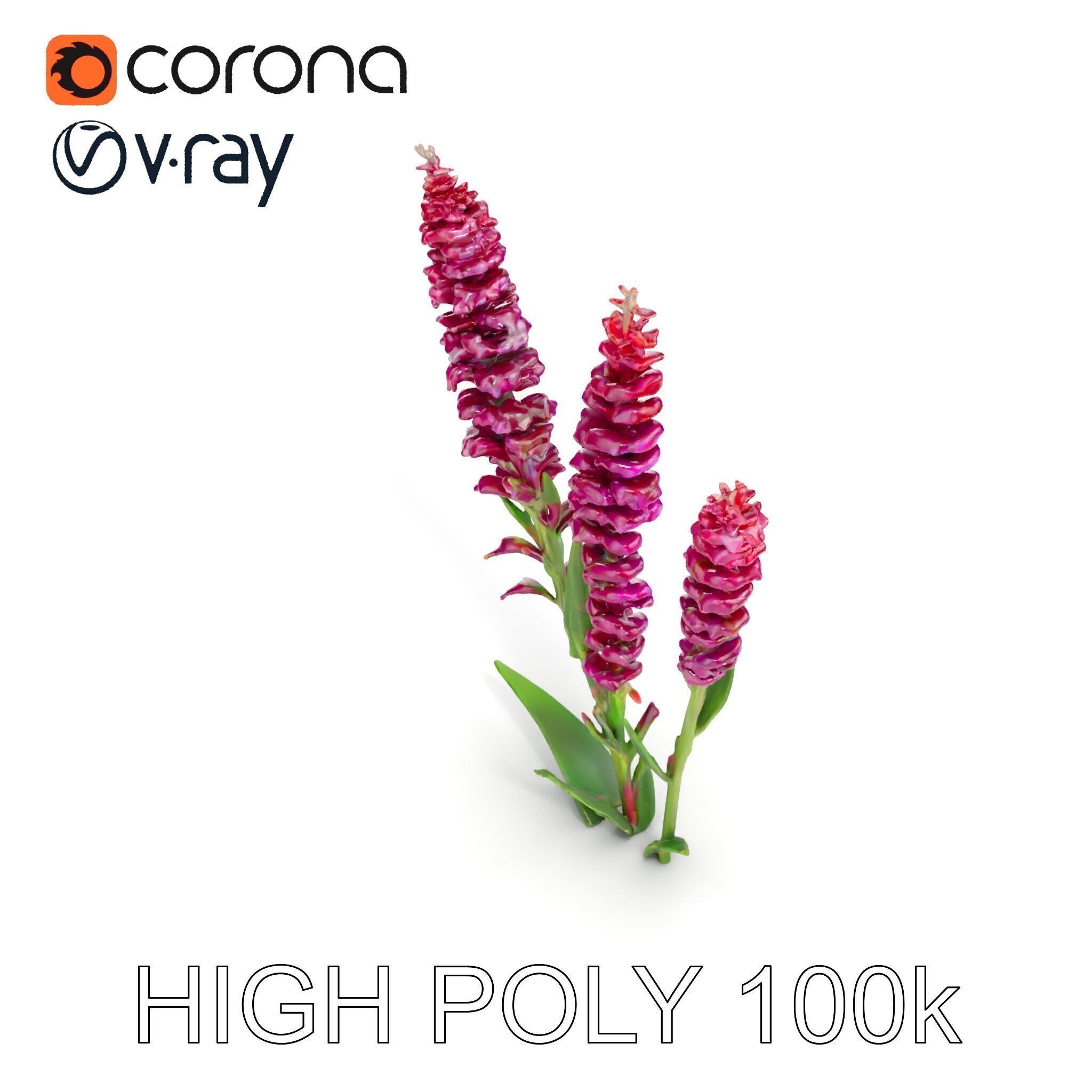 Purple Flower Model Pack  High Detail Botanical Collection Low-poly 3D model_19