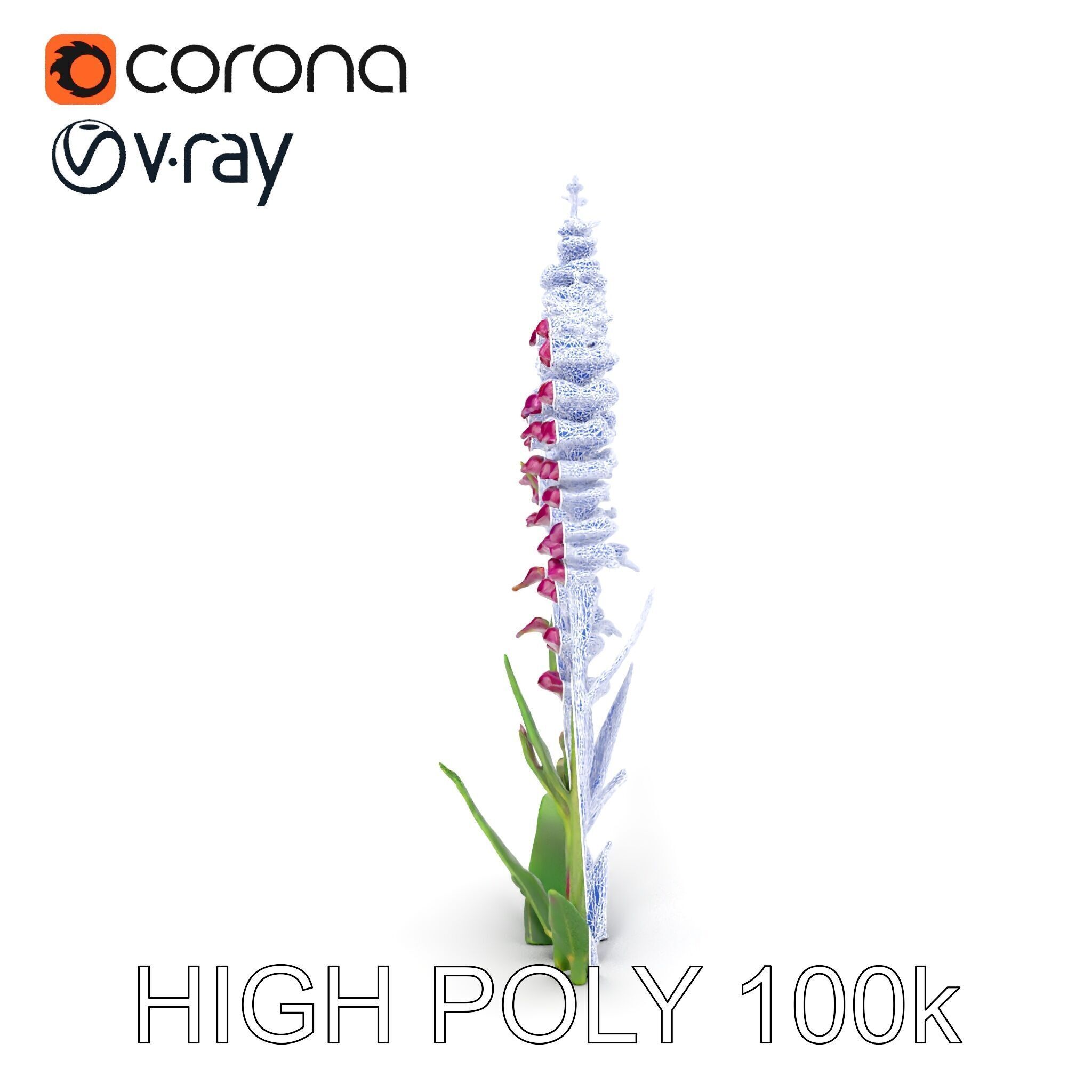 Purple Flower Model Pack  High Detail Botanical Collection Low-poly 3D model_33