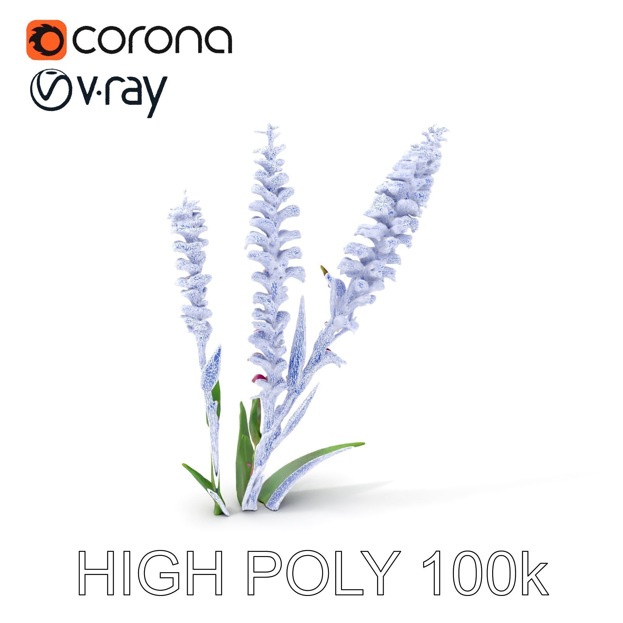 Purple Flower Model Pack  High Detail Botanical Collection Low-poly 3D model_29