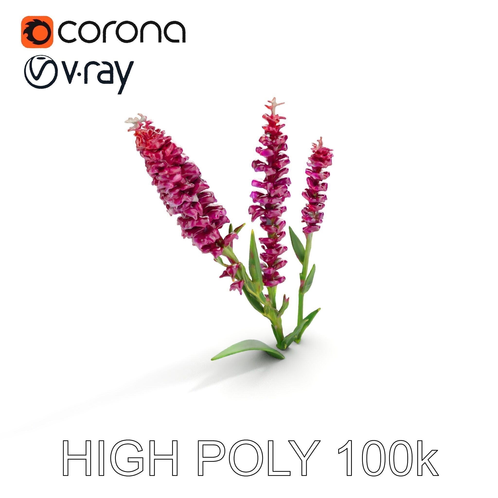 Purple Flower Model Pack  High Detail Botanical Collection Low-poly 3D model_16