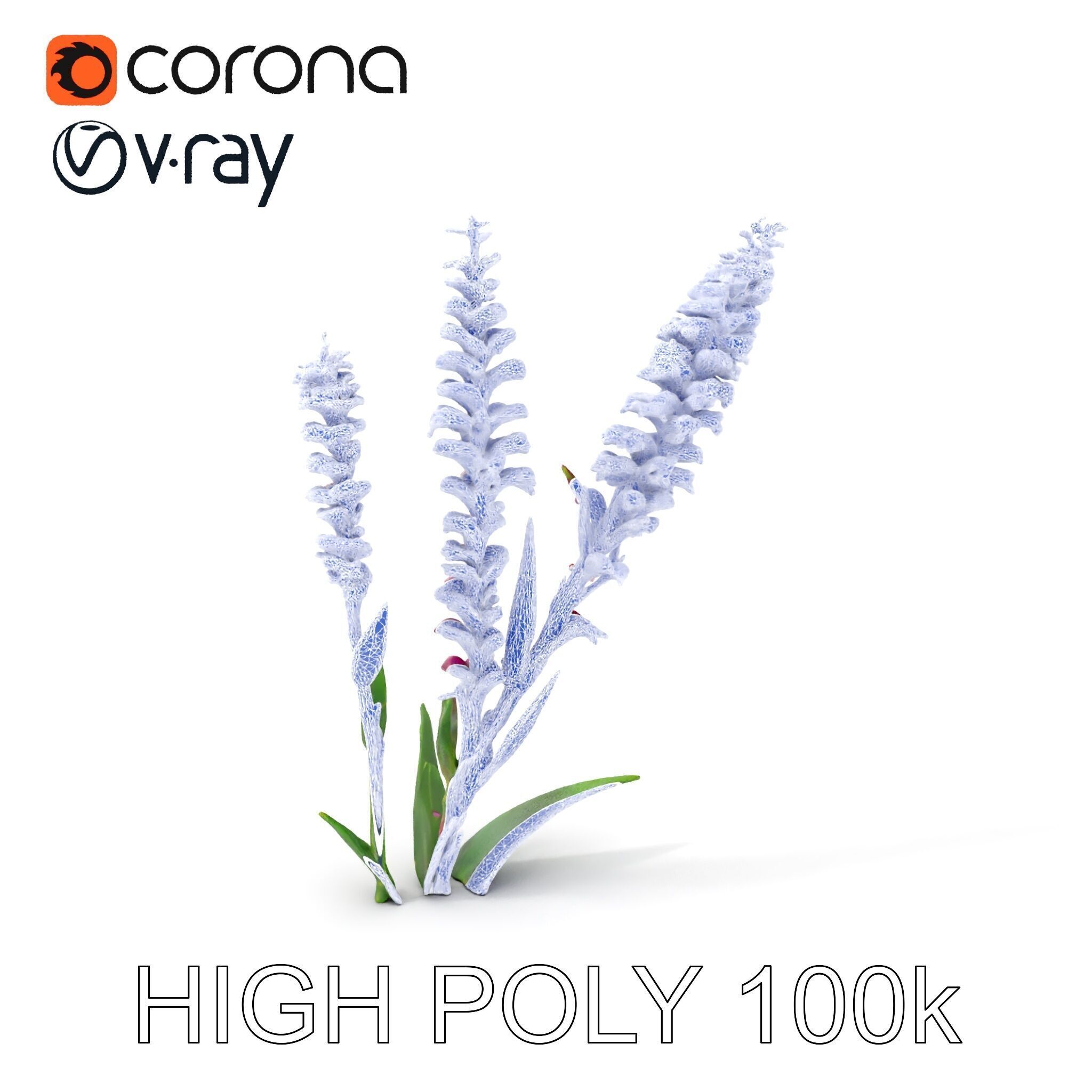 Purple Flower Model Pack  High Detail Botanical Collection Low-poly 3D model_28