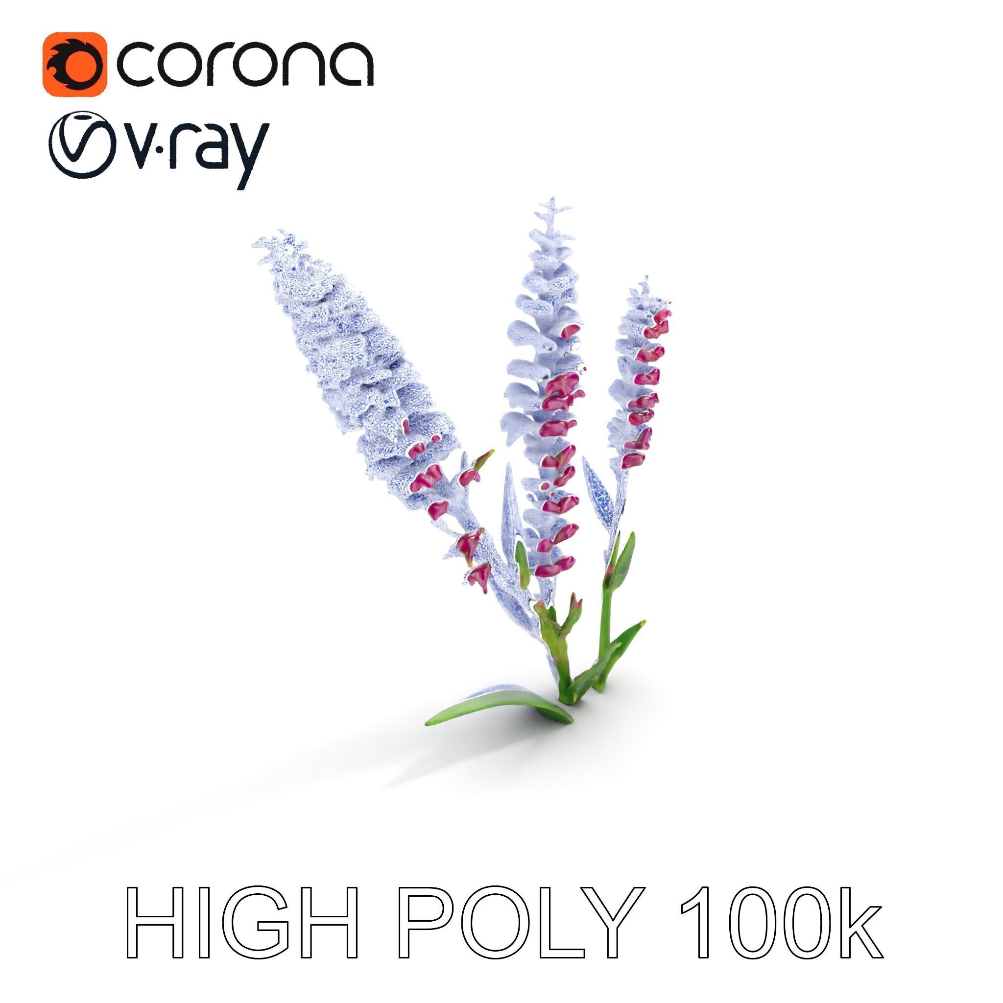 Purple Flower Model Pack  High Detail Botanical Collection Low-poly 3D model_32