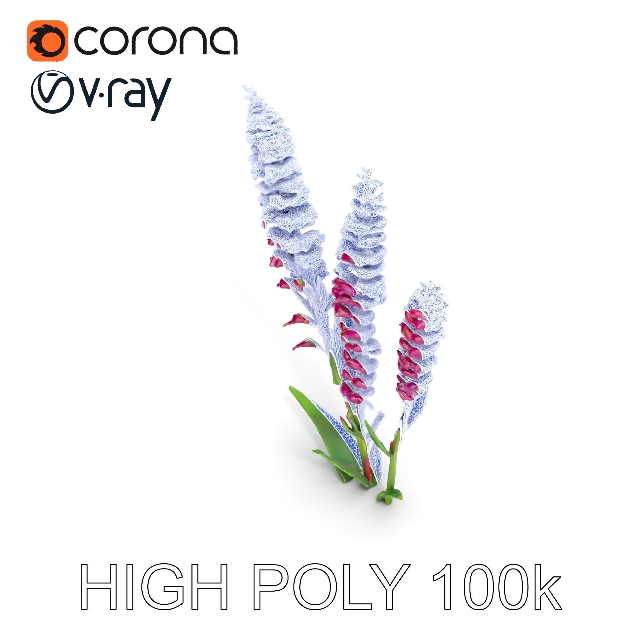 Purple Flower Model Pack  High Detail Botanical Collection Low-poly 3D model_17