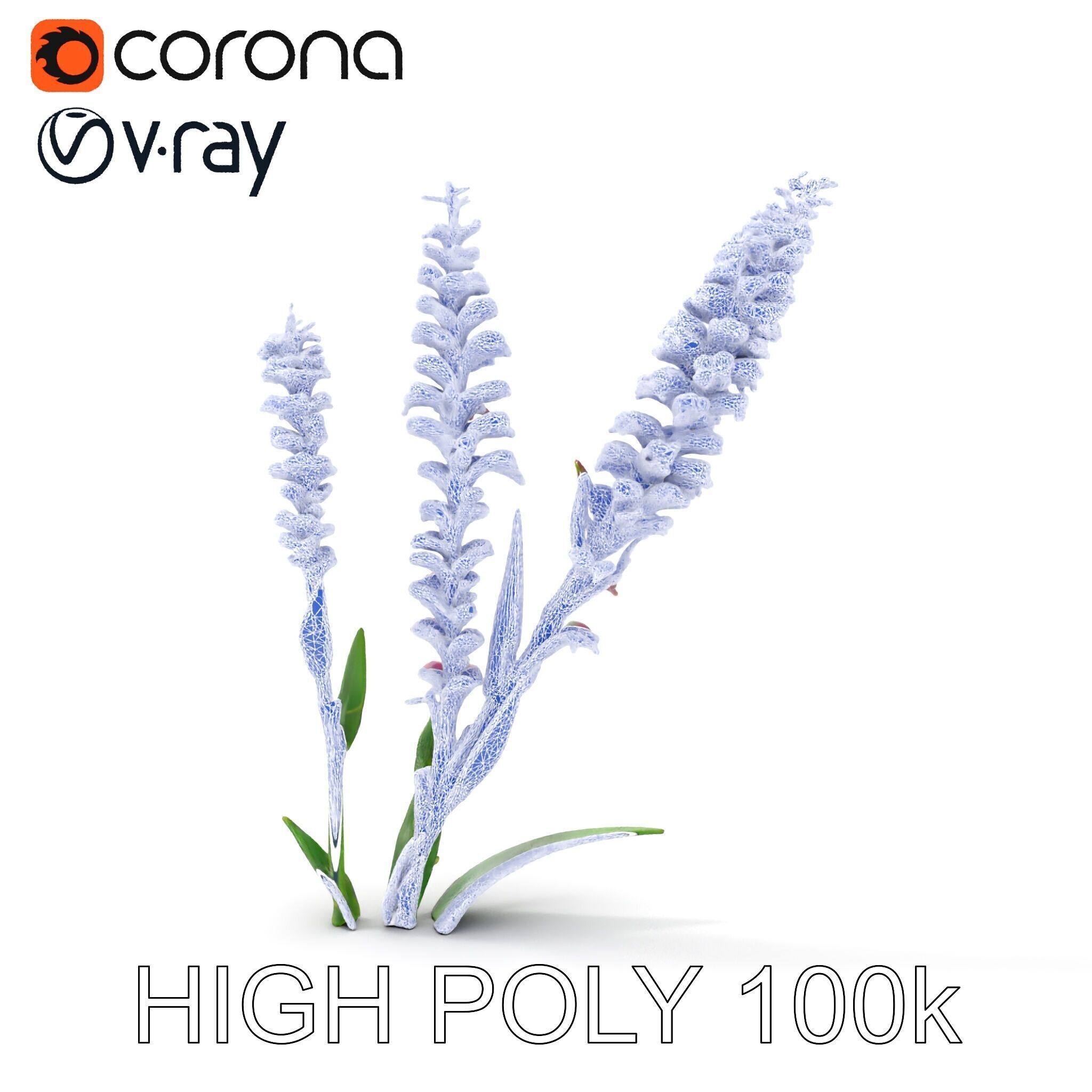 Purple Flower Model Pack  High Detail Botanical Collection Low-poly 3D model_20