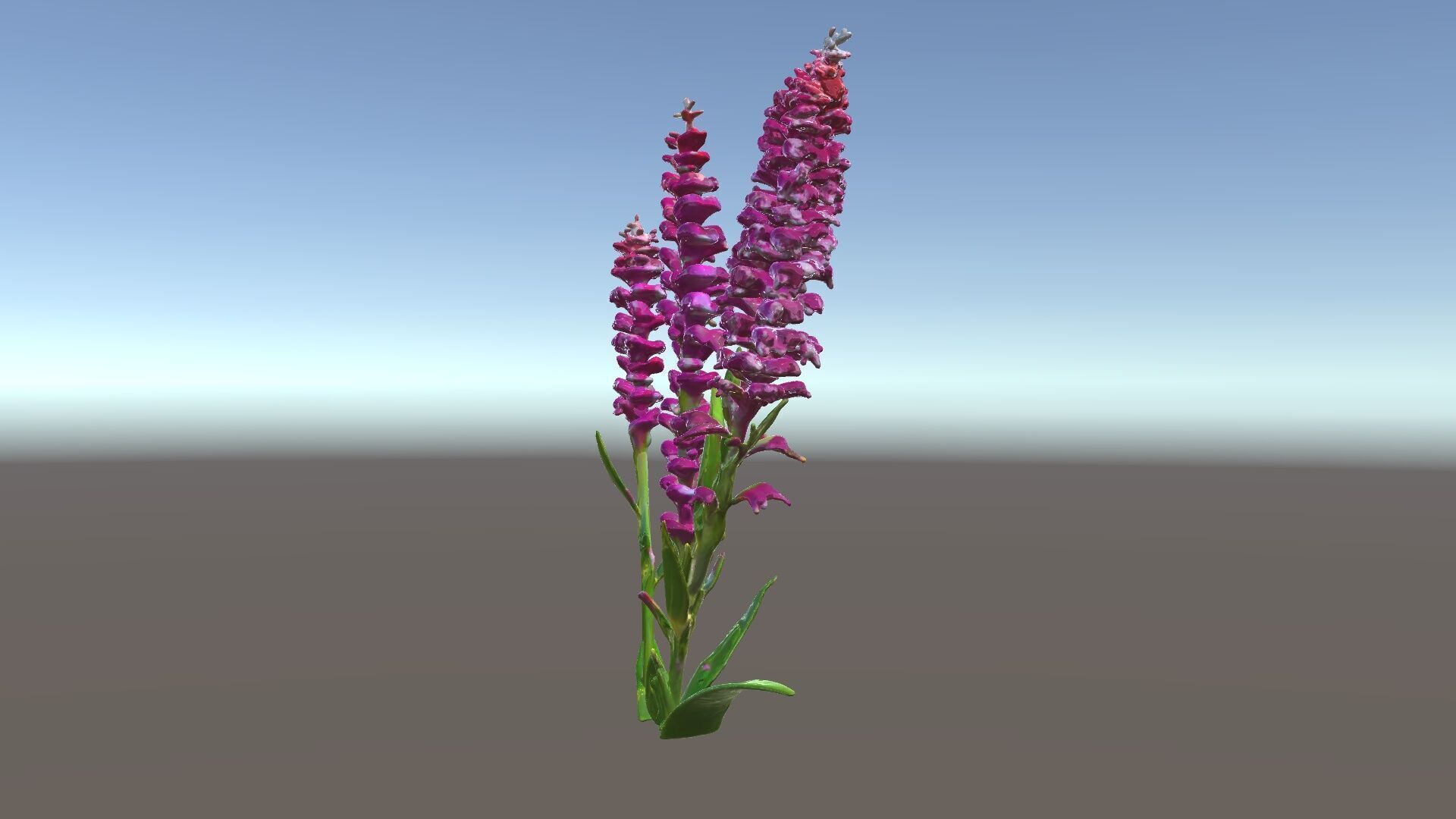 Purple Flower Model Pack  High Detail Botanical Collection Low-poly 3D model_34