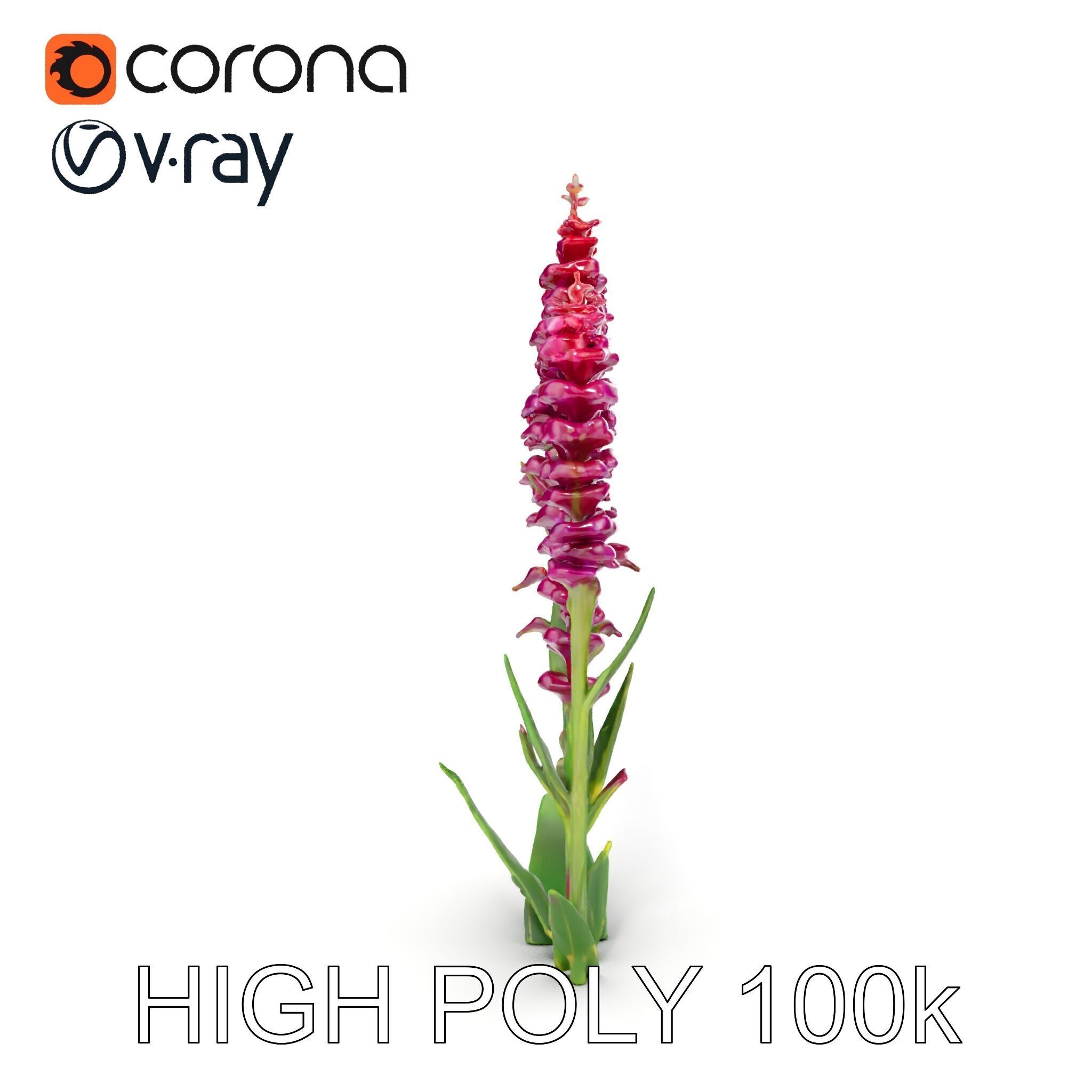 Purple Flower Model Pack  High Detail Botanical Collection Low-poly 3D model_26