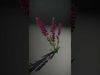 Purple Flower Model Pack  High Detail Botanical Collection Low-poly 3D model_2