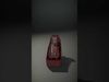 Traditional String Instrument Model Pack Low-poly 3D model_2