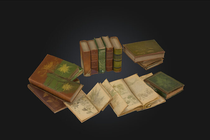 Herbarium Collection  Preserved Beauty of Natures Wisdom 3D model