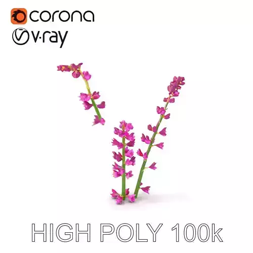 Vibrant Pink Flower Model Pack Low-poly 3D model