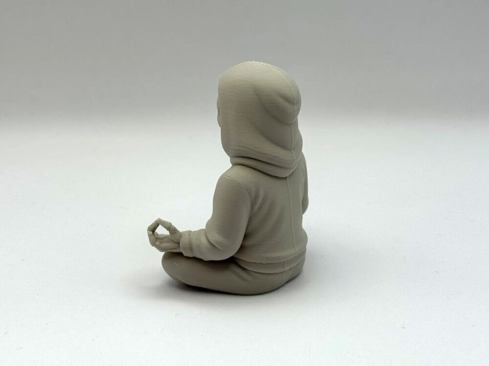 Zen to the Bone 3D print model_10