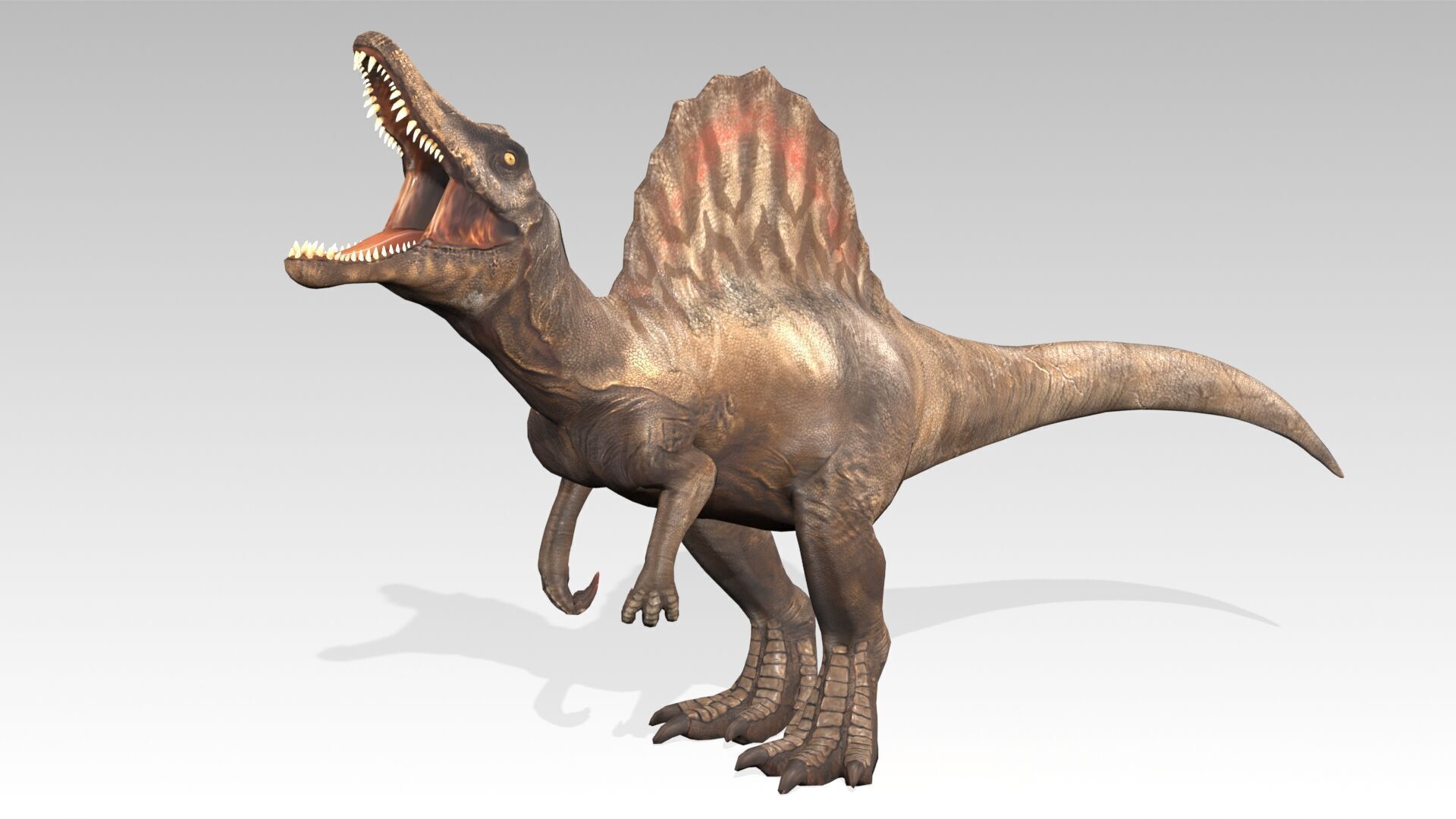 Spinosaurus Animated Low-poly 3D model_5