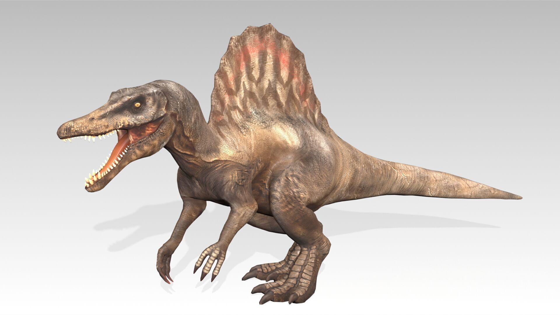 Spinosaurus Animated Low-poly 3D model_8