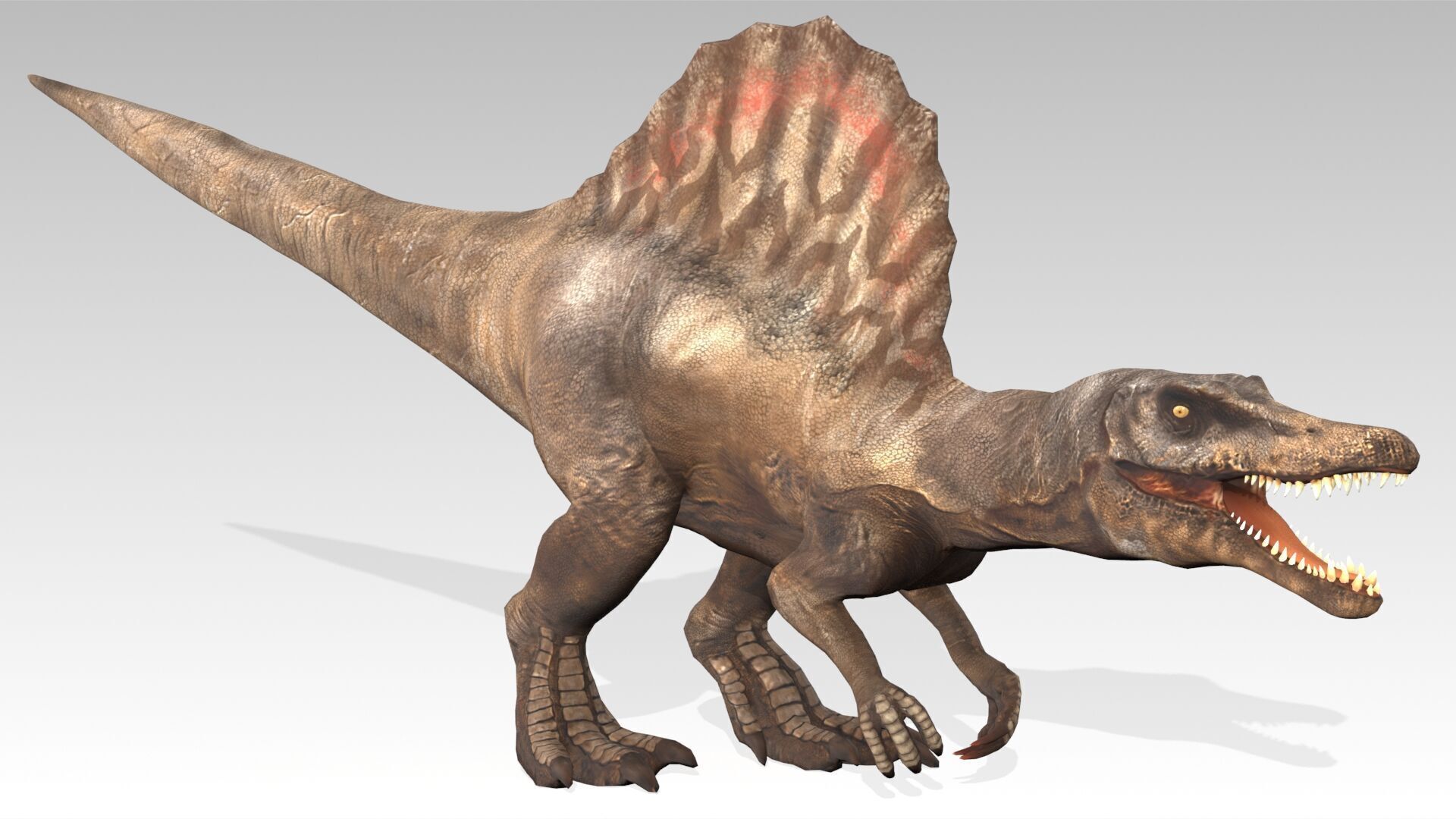 Spinosaurus Animated Low-poly 3D model_6