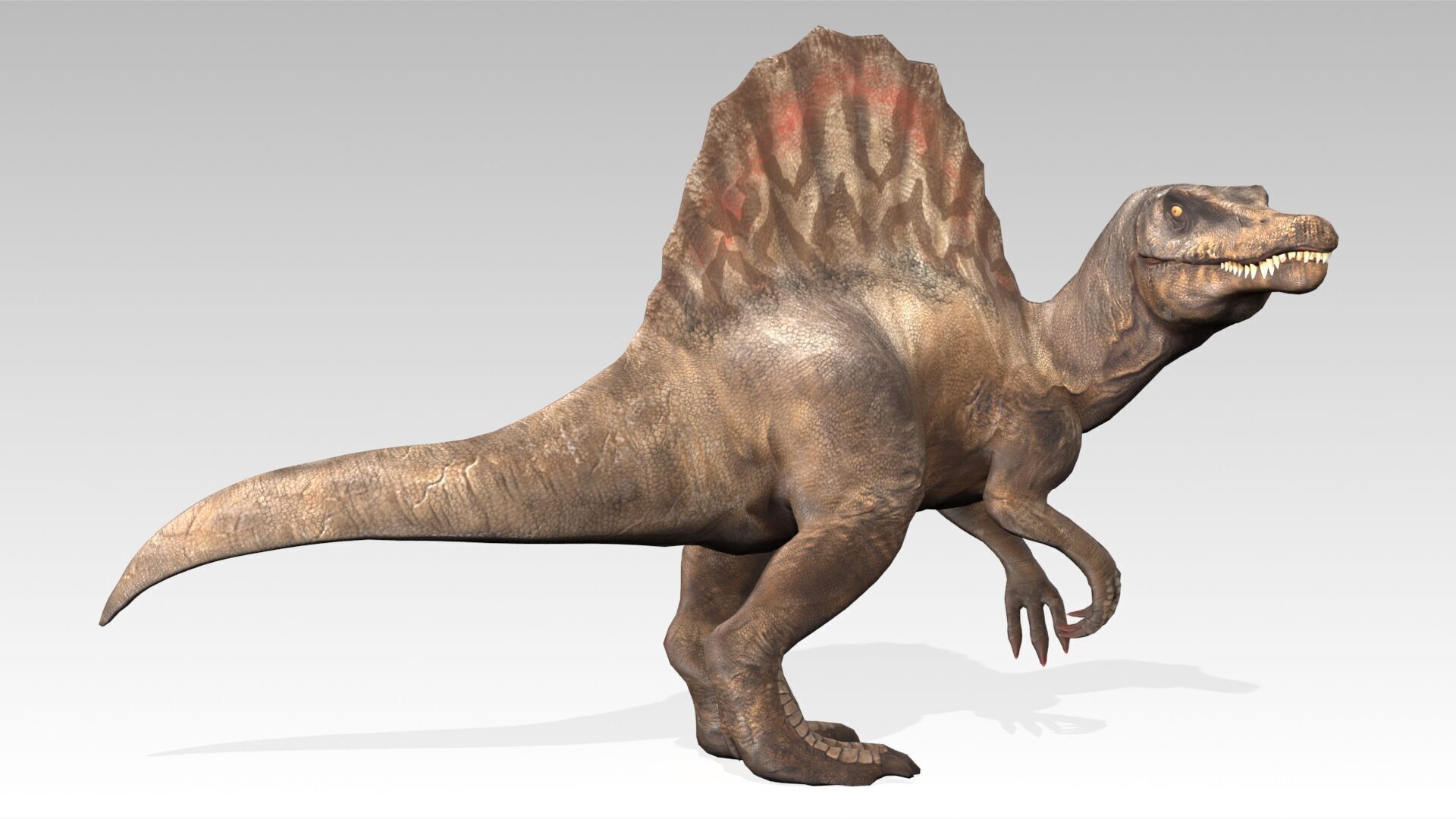 Spinosaurus Animated Low-poly 3D model_4