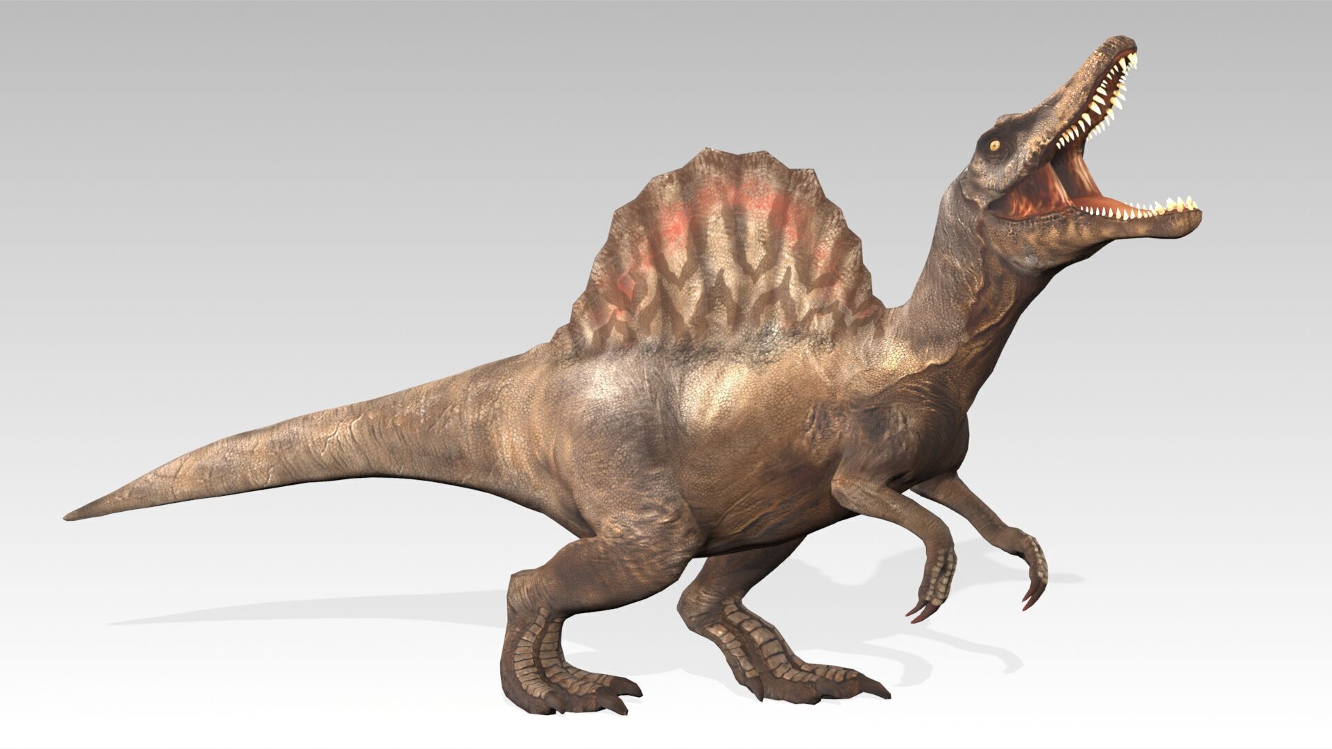 Spinosaurus Animated Low-poly 3D model_7