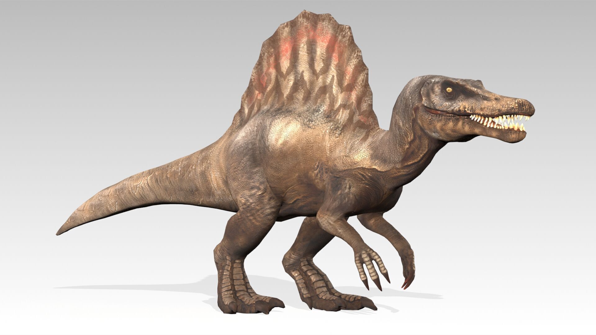 Spinosaurus Animated Low-poly 3D model_2