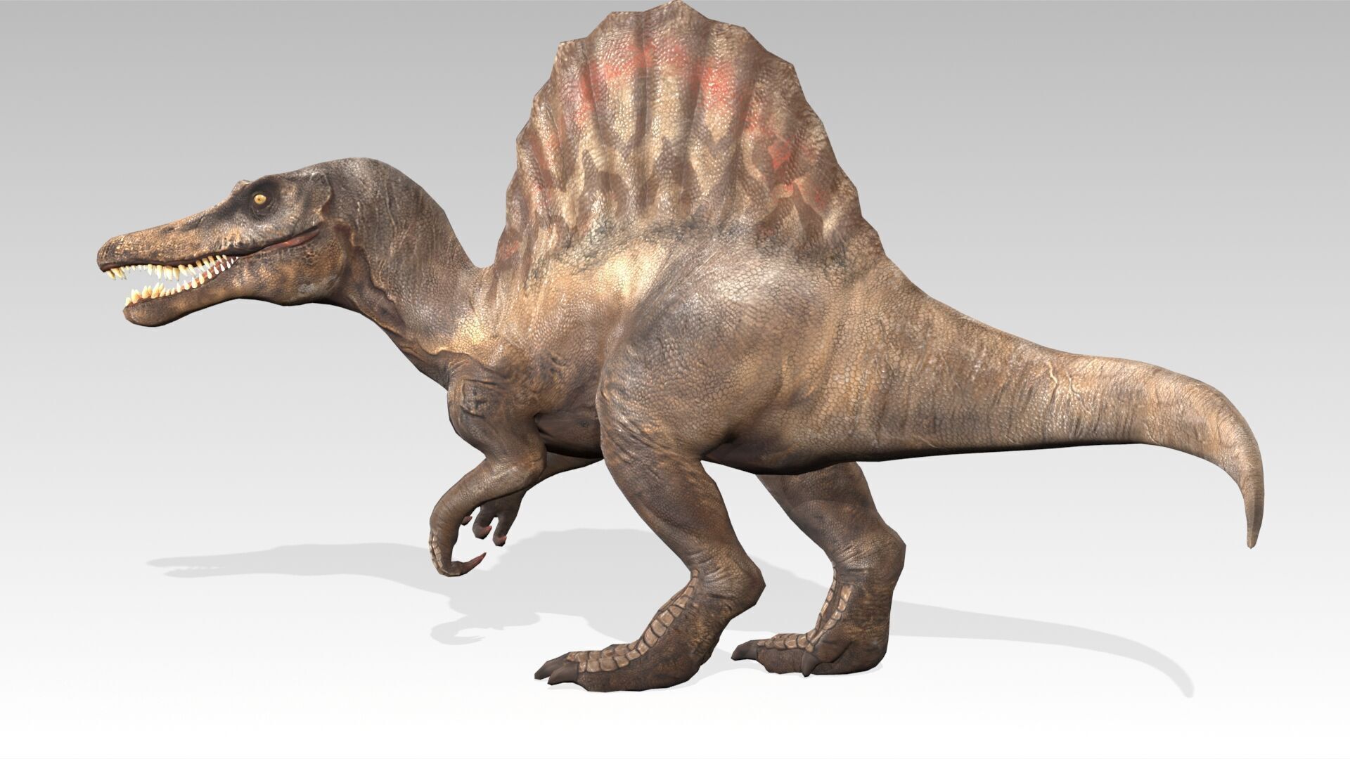 Spinosaurus Animated Low-poly 3D model_3