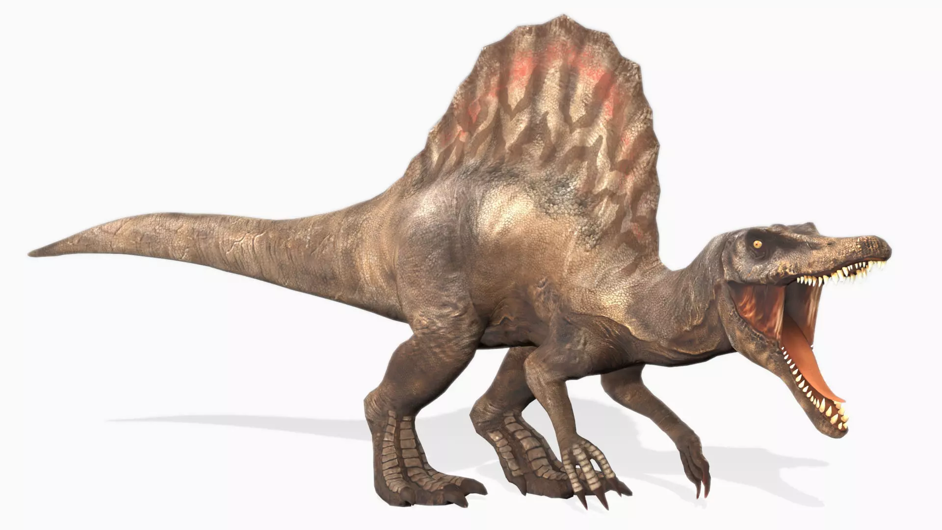 Spinosaurus Animated Low-poly 3D model_0
