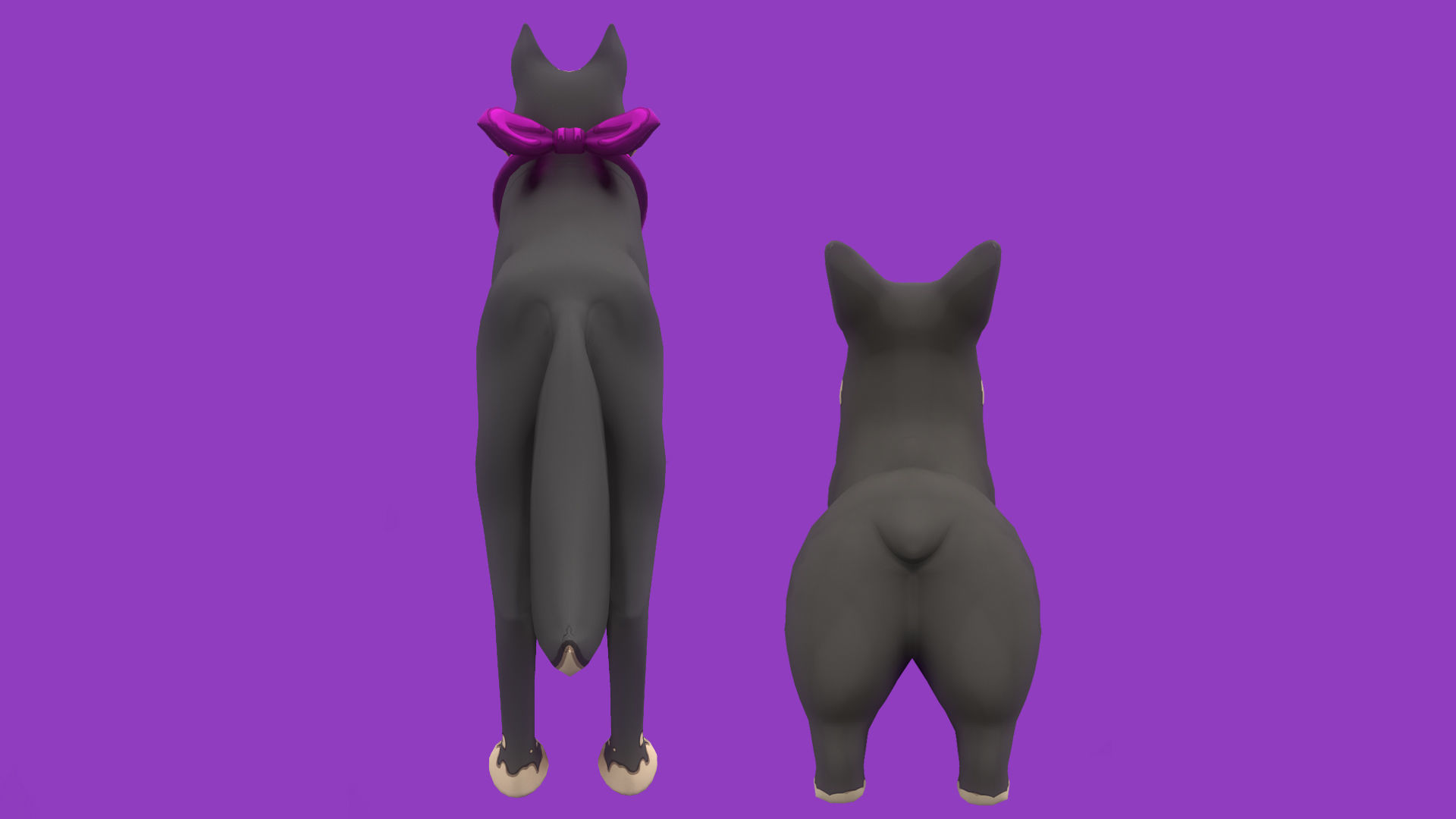 Grey Corgy and Grey Husky 3D Model Collection _6