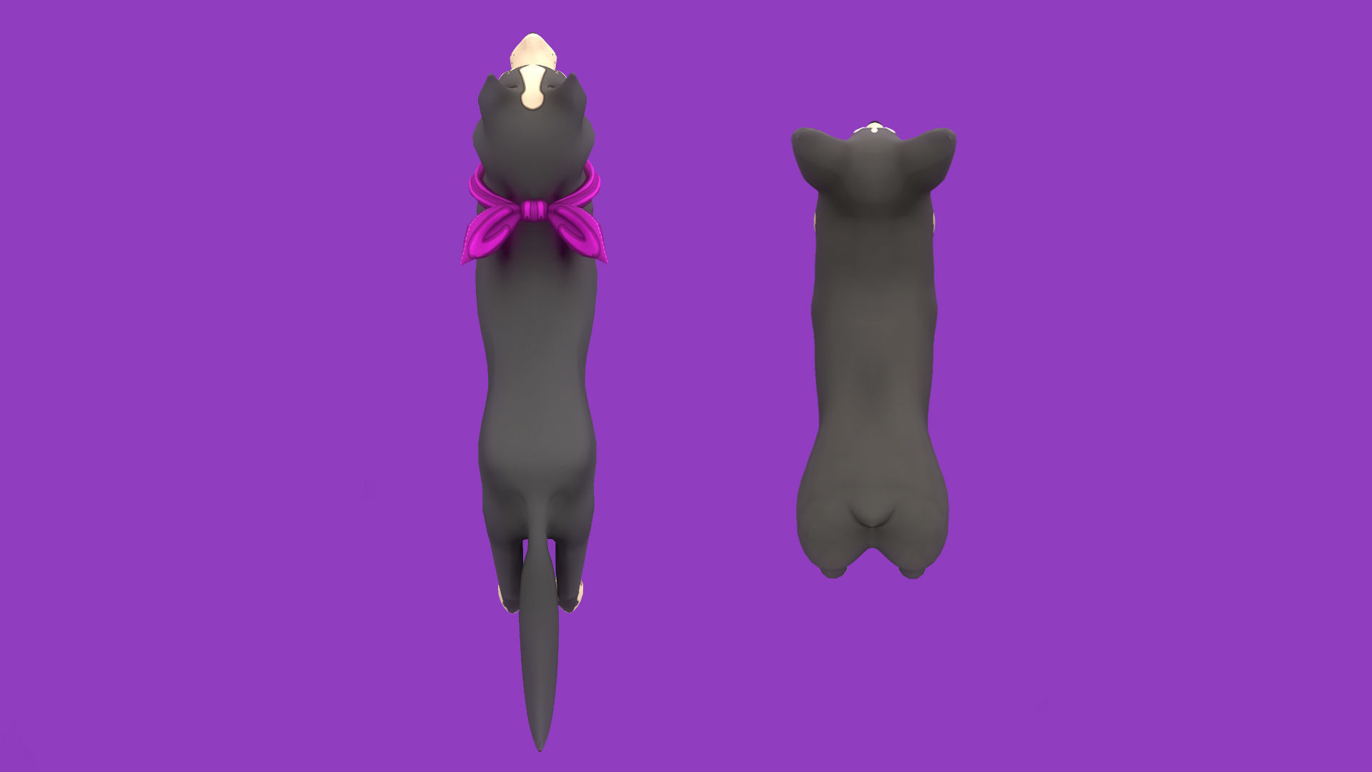 Grey Corgy and Grey Husky 3D Model Collection _7