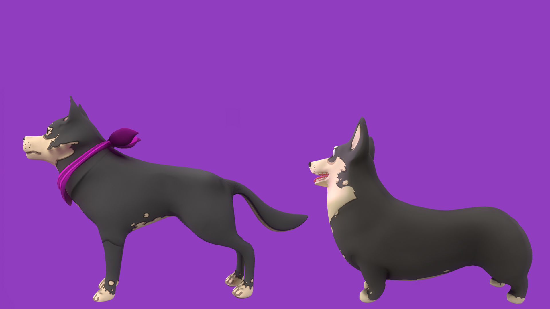 Grey Corgy and Grey Husky 3D Model Collection _5