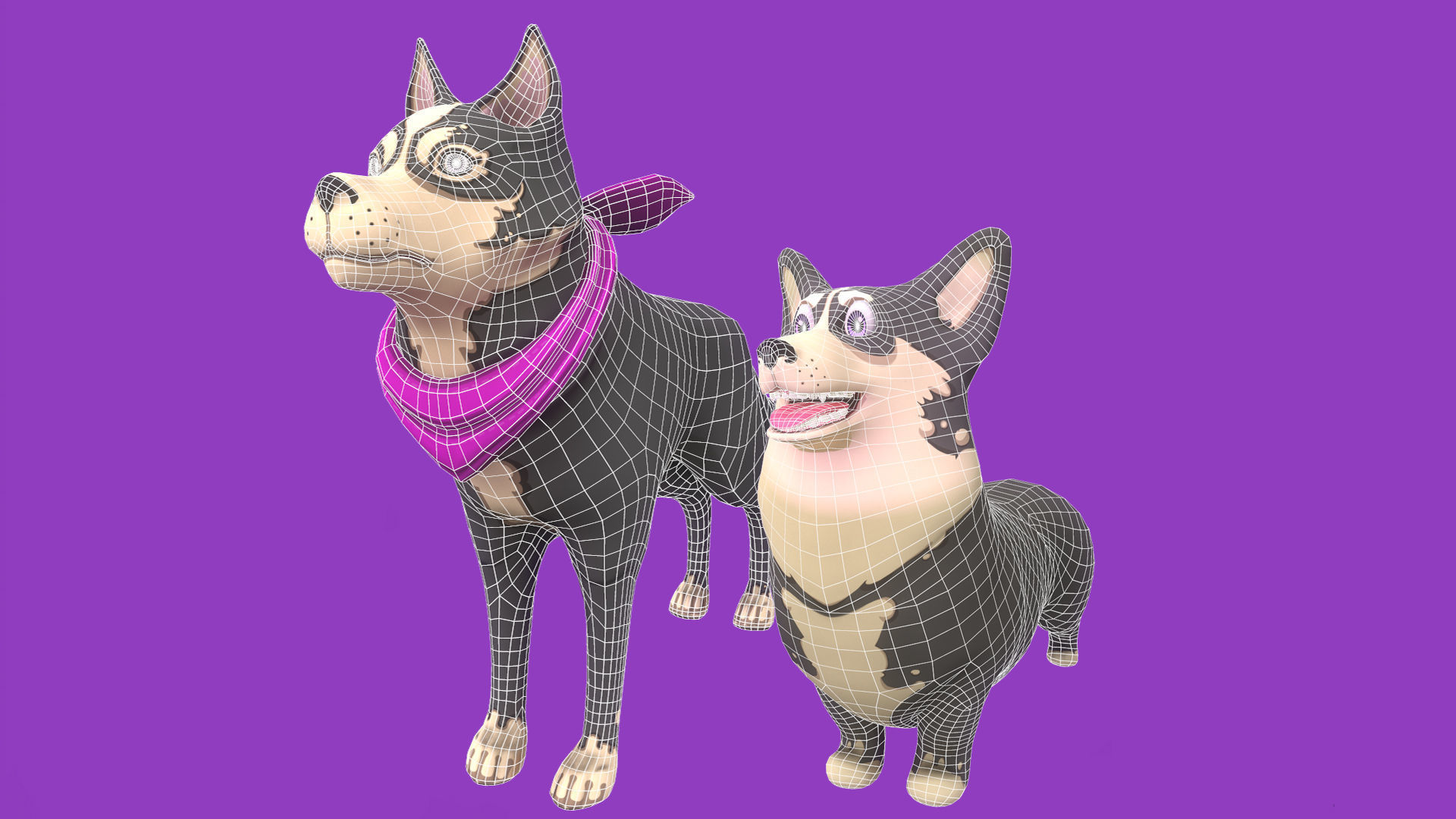 Grey Corgy and Grey Husky 3D Model Collection _8