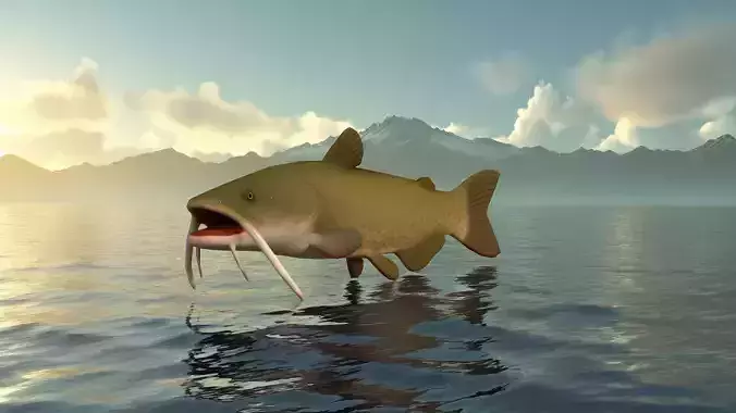 Realistic Catfish