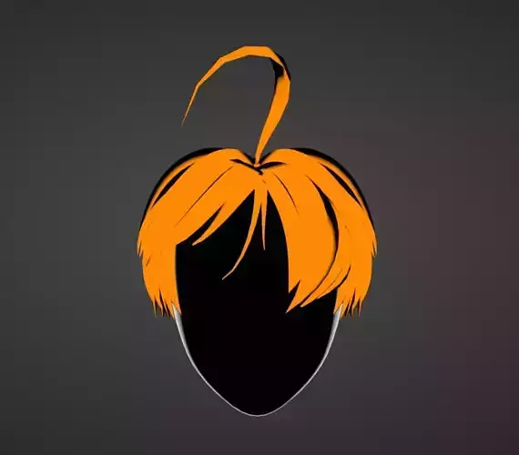 Hair asset for anythings you want to