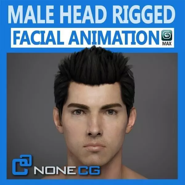Adult Male Head Rigged 3D model_0