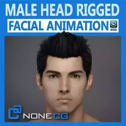 Adult Male Head Rigged 3D model